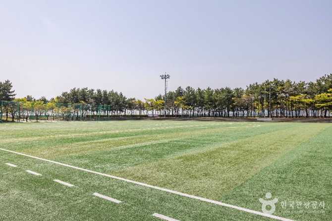 Discover Signo Park - image 3