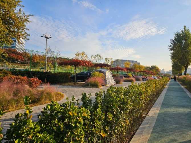Guro Picnic Garden - image 7
