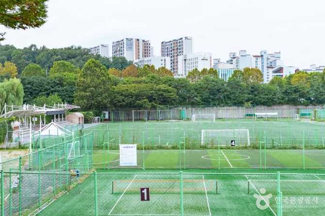 Experience Outdoor Sports at Yangcheon - image 2