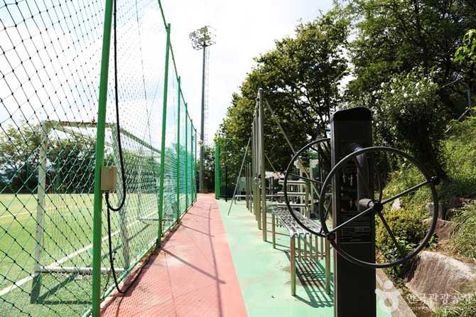 Discover Busan's Hwangryeongsan Leisure - image 3