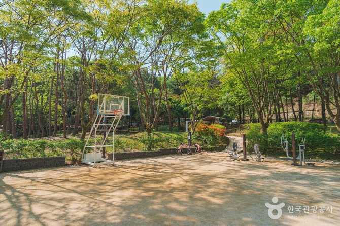 Discover HanSol Neighborhood Park in - image 4