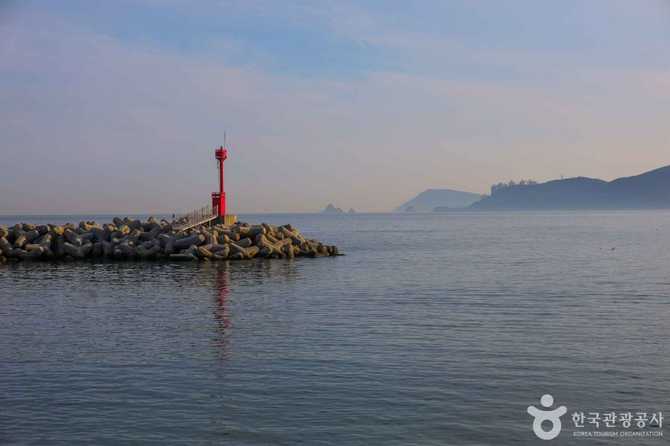 Explore Mipo Port in Busan - image 2