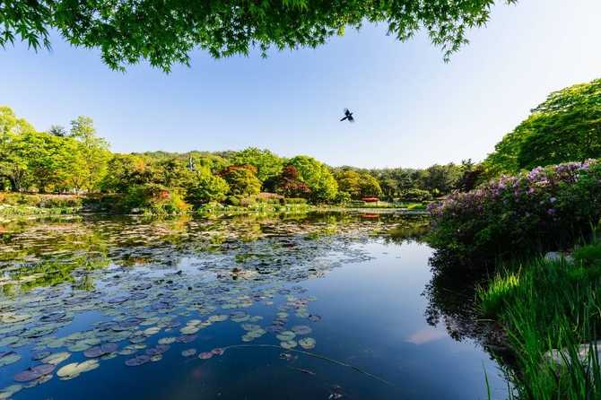 Visit the National Seoul Memorial - image 1