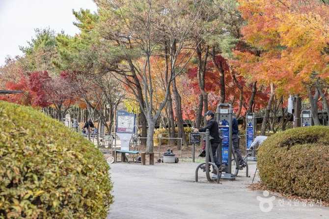 Discover Geumcheon Sports Park - image 3