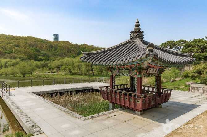 서울 강북 대표 공원, 북서울꿈의숲 방문 가이드와 핵심 정보 3