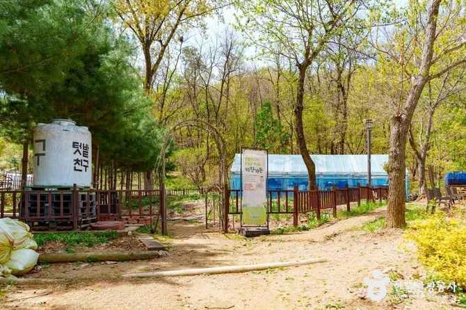서울 양천구 자연 친화 공간, 양천도시농업공원 소개와 체험 프로그램 안내 3