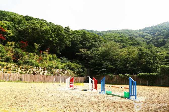 부산 기장군 승마체험, 바모스승마클럽에서 자연과 함께하는 힐링 여행 4