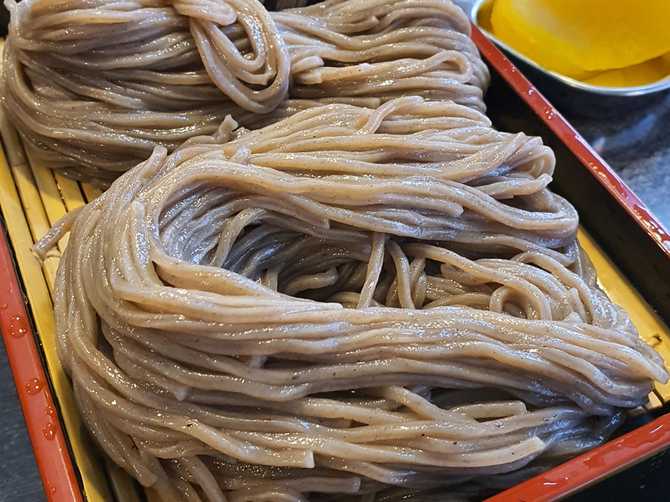 Best Japanese Udon and Tonkatsu - image 3