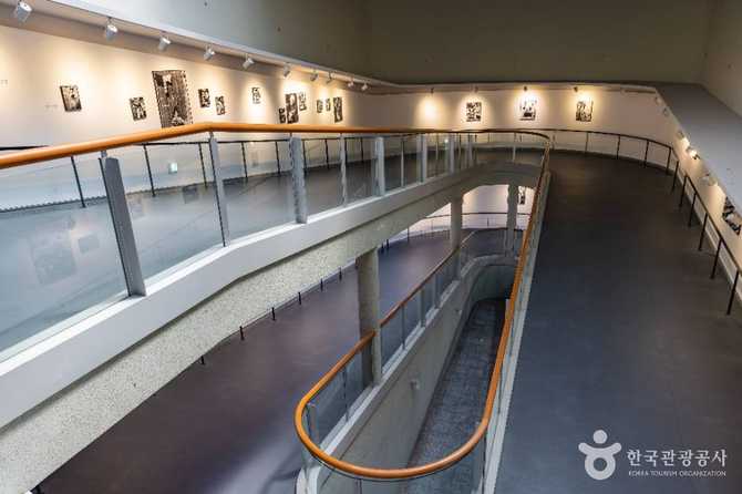 부산박물관 소개와 방문 정보: 부산의 역사와 문화유산을 한눈에 24