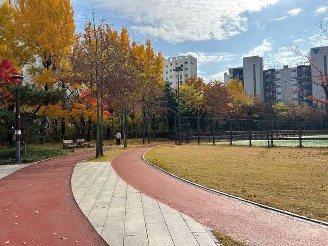Discover Seoul's Sonki Jeong Sports - image 4