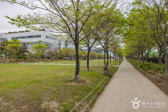 Discover Amir Park - image 9