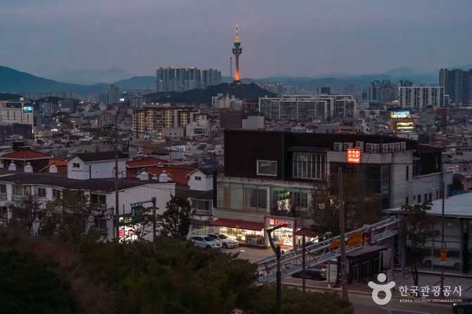 대구 이월드 83타워 전망대와 관광 정보 안내 4