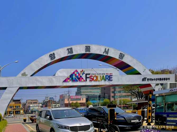 Yangjae Flower Market Guide - image 5