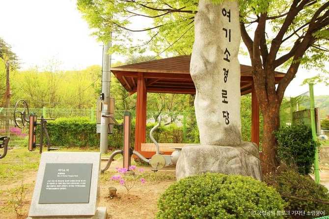 북한산 둘레길 10구간 내시묘역길 상세 안내와 자연 체험 4