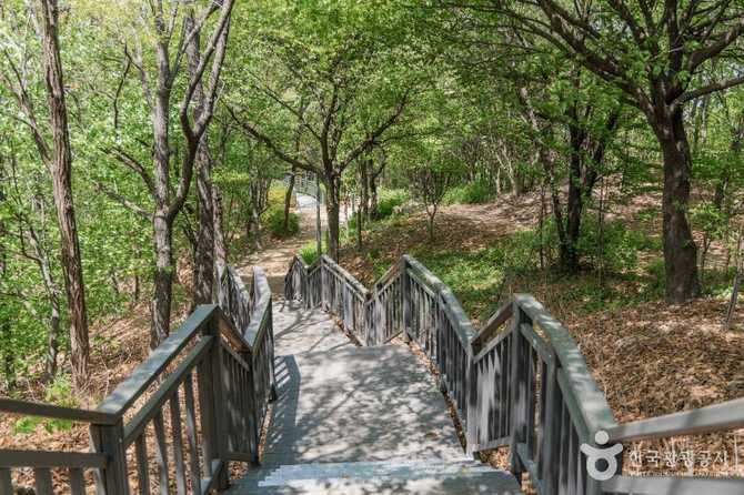 Discover Odong Neighborhood Park in - image 4