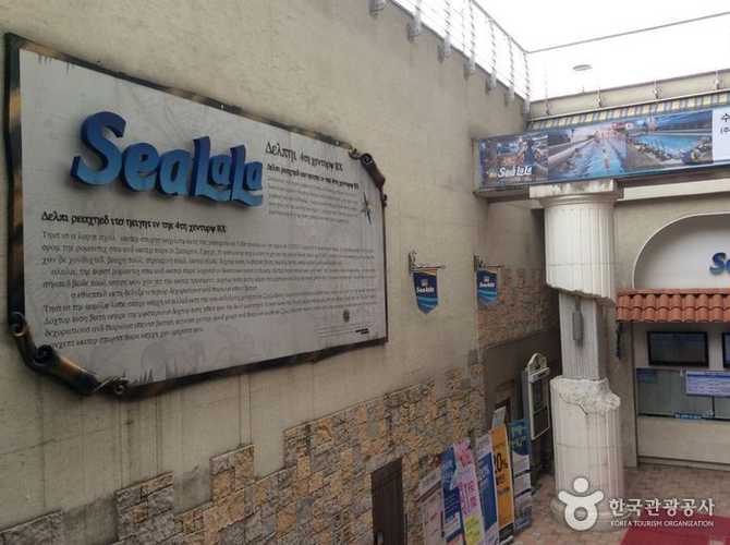 서울 영등포 문래동 위치의 씨랄라 워터파크 이용 안내와 핵심 정보 4