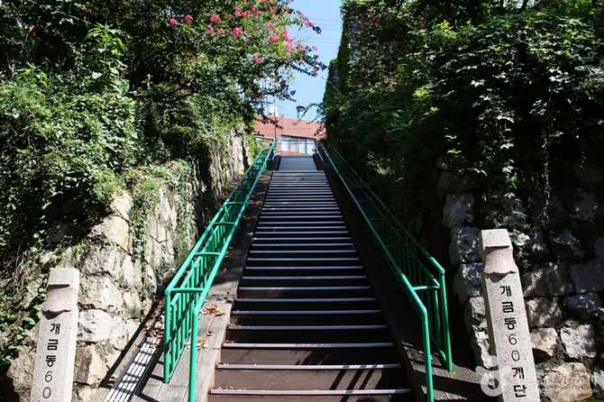 Discover Busan Gaegeum Cherry Blossom - image 18
