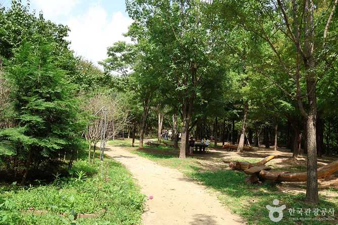 Experience Nature at Seoul's World - image 12