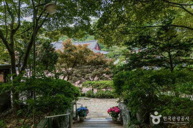 Discover the Historic and Natural - image 3