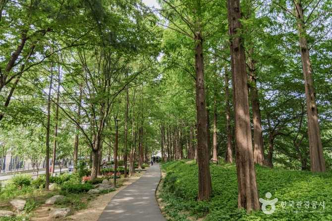 Discover Yangjaecheon Neighborhood Park - image 3