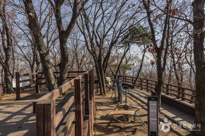 우면산 소망탑: 서울과 과천의 대표 산책 명소와 전망 포인트 4