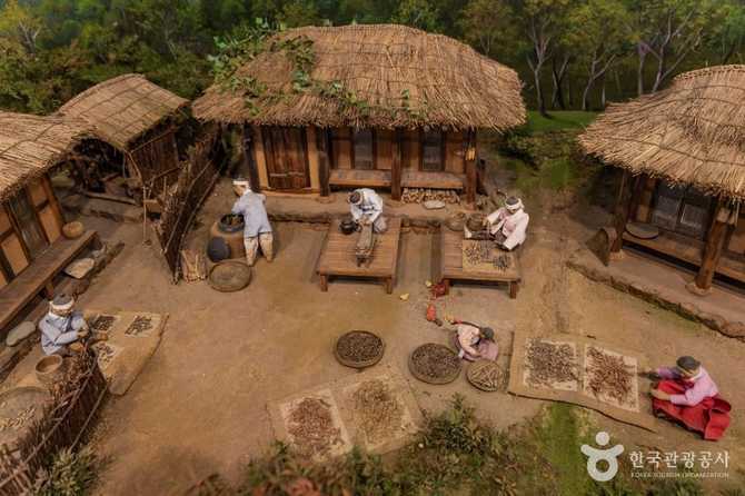 Discover Seoul Yakryeong Market Museum - image 3