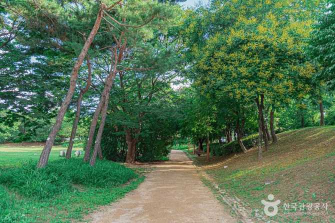 서울 마포구 평화잔디광장: 자연과 도시가 어우러진 휴식 공간 4