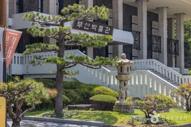 부산박물관 소개와 방문 정보: 부산의 역사와 문화유산을 한눈에 28