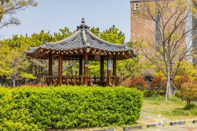 Discover Signo Park - image 6