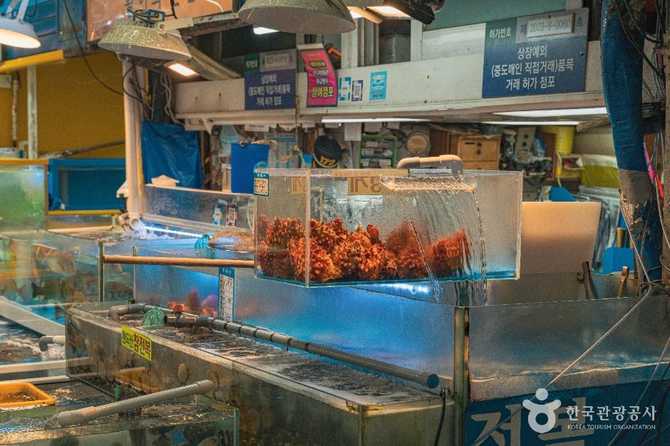 Garak Fish Market - image 4