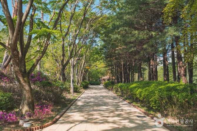 Discover HanSol Neighborhood Park in - image 3