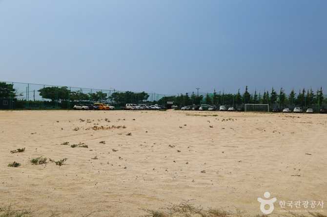 Discover Busan's Baegunpo Sports Park - image 9