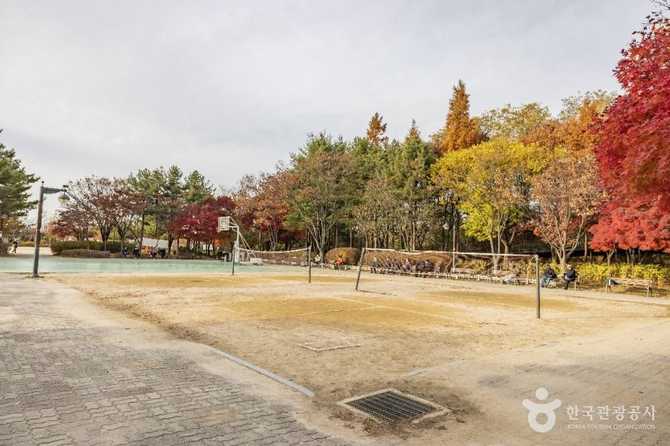 Discover Geumcheon Sports Park - image 6