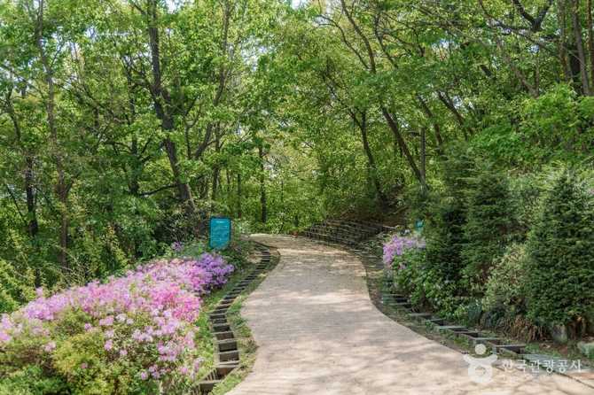 서울 강북 대표 공원, 북서울꿈의숲 방문 가이드와 핵심 정보 4