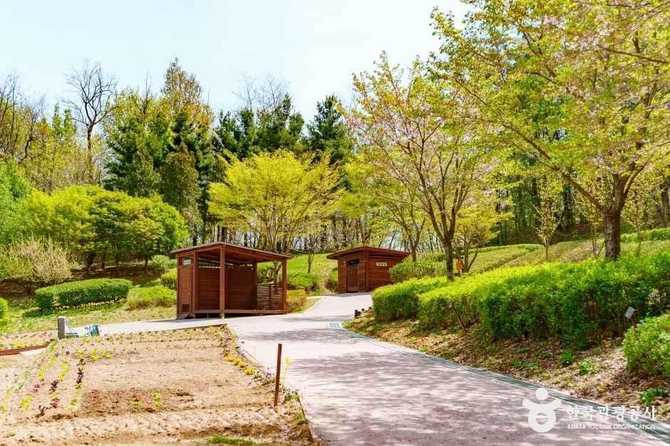 서울 양천구 자연 친화 공간, 양천도시농업공원 소개와 체험 프로그램 안내 4