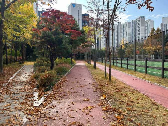 Discover Seoul's Sonki Jeong Sports - image 8
