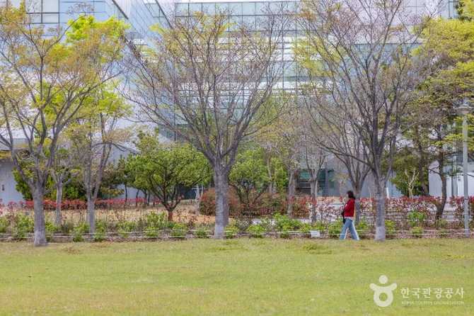 Discover Amir Park - image 8