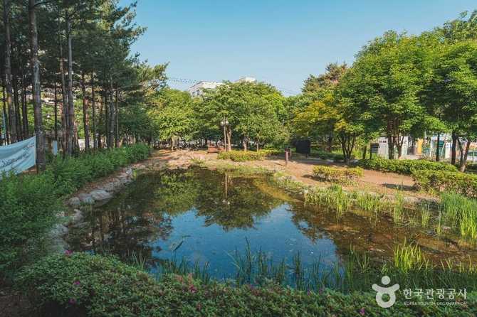 Visit Yileon Eco Park - image 6