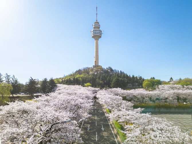 대구 이월드 83타워 전망대와 관광 정보 안내 5