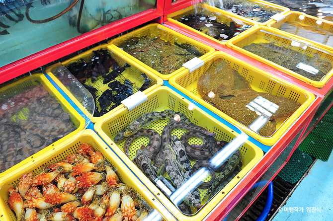 Experience Fresh Seafood at Dadae - image 5