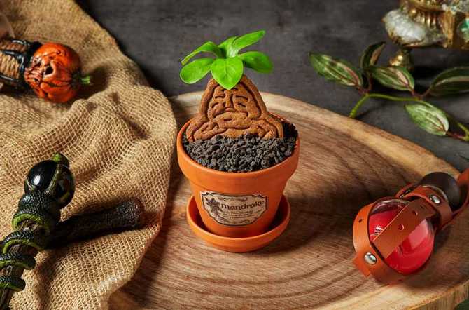 홍대 인근 해리포터 테마 카페, 943 킹스크로스CAFE 소개와 방문 팁 5