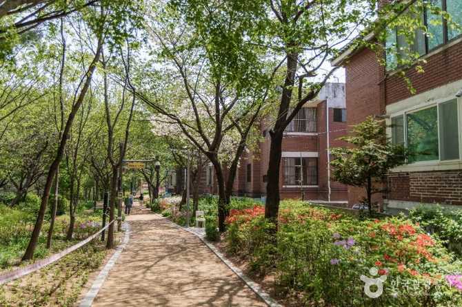 Discover Odong Neighborhood Park in - image 6
