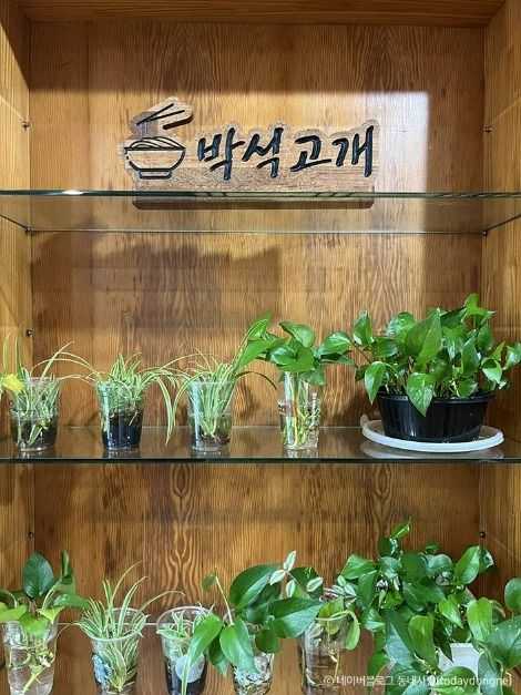 Discover Hyehwa's Hidden Gem - image 5