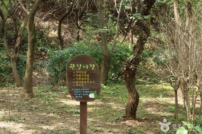 Experience Nature at Seoul's World - image 11