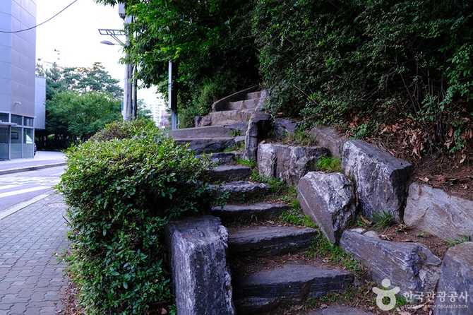 서울 송파구 천마근린공원 안내 및 체험 정보 11