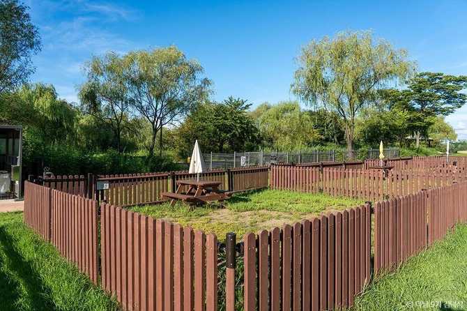 Experience Urban Nature at Noeul - image 3