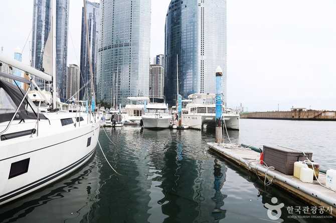 부산 Yacht Tour - image 13