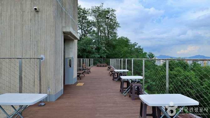 Discover Seoul's Shining Gem - image 5