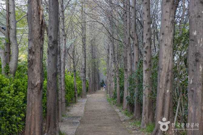 Discover Gogh's Path in Busan - image 7