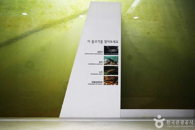 Discover Nakjojeong - image 16